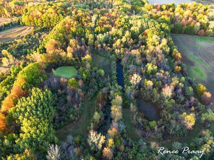 Undeveloped Land for sale in Allegan County, Michigan