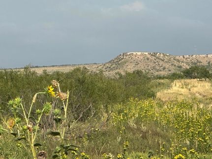 Undeveloped Land for sale in Potter County, Texas