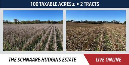 Farm and Ranch for sale in Pulaski County, Illinois