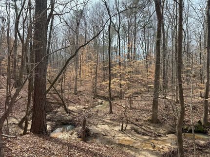 Farm and Ranch for sale in Elbert County, Georgia