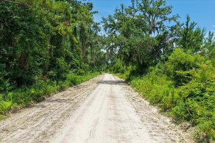 Land for sale in Madison County, Florida