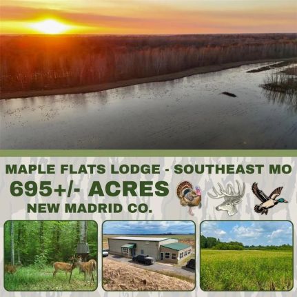 Commercial Property for sale in New Madrid County, Missouri