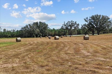 Farm and Ranch for sale in Madison County, Florida