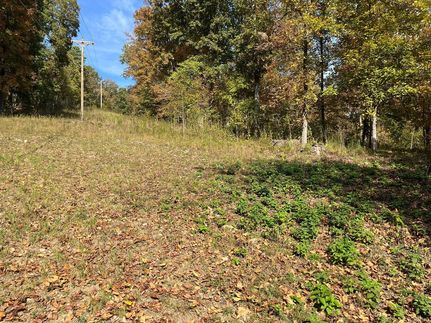 Farm and Ranch for sale in Wayne County, Missouri