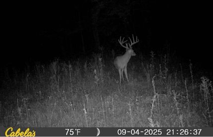 Land for sale in Hughes County, Oklahoma