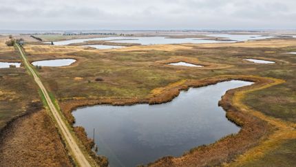 Land for sale in McLean County, North Dakota