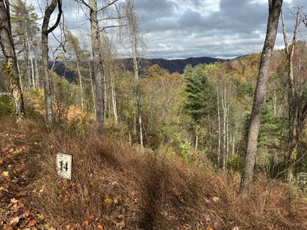 Undeveloped Land for sale in Johnson County, Tennessee