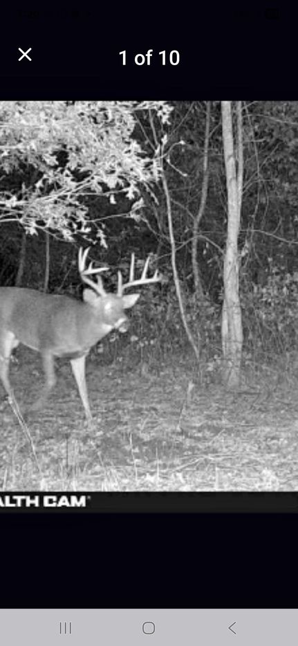 Timberland Property for sale in Sullivan County, Missouri