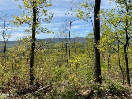 Hunting Property for sale in Bedford County, Pennsylvania