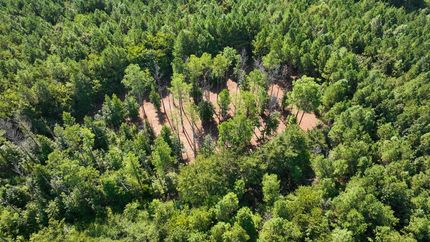 Land for sale in Itawamba County, Mississippi