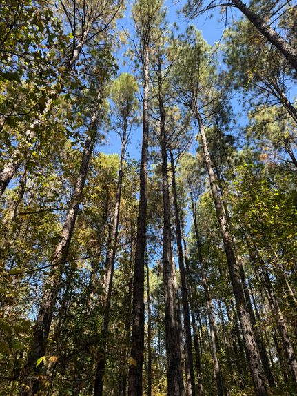 Recreational Property for sale in Laurens County, South Carolina