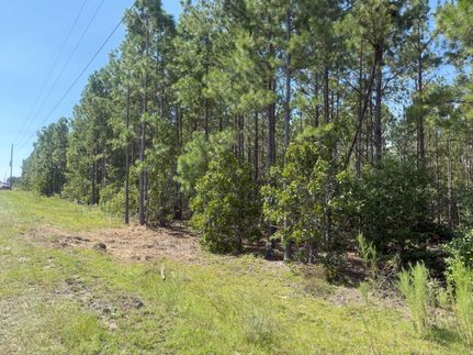 Undeveloped Land for sale in Kershaw County, South Carolina