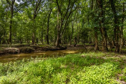 Land for sale in Lee County, Texas