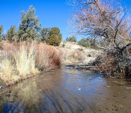 Recreational Property for sale in Douglas County, Nevada