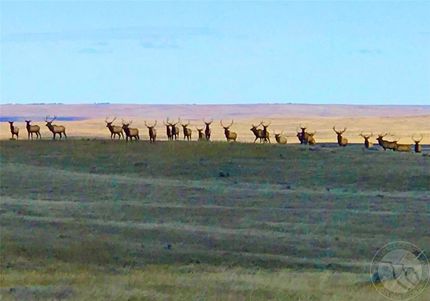 Land for sale in Fergus County, Montana