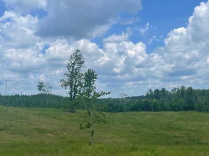 Undeveloped Land for sale in Shelby County, Alabama