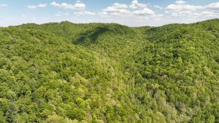 Undeveloped Land for sale in Buchanan County, Virginia