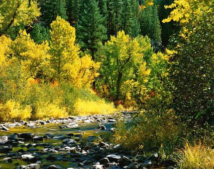 Recreational Property for sale in Boise County, Idaho