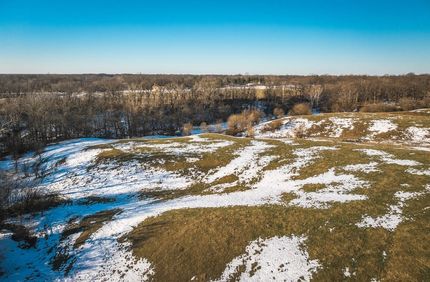 Farm and Ranch for sale in Macoupin County, Illinois