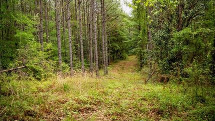 Land for sale in Wilkinson County, Mississippi