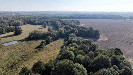 Timberland Property for sale in Oktibbeha County, Mississippi