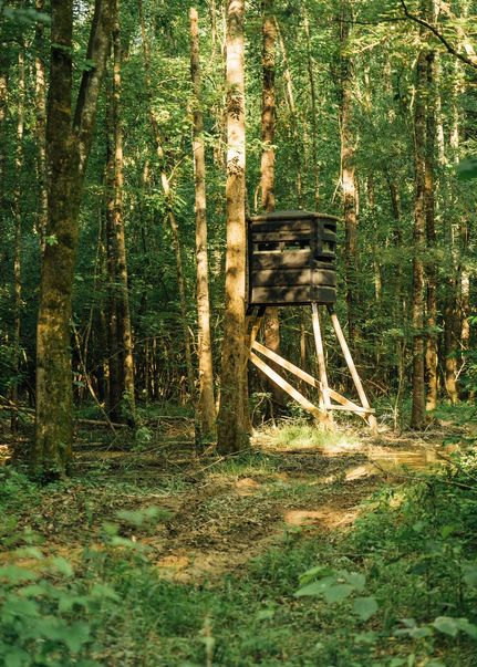 Farm and Ranch for sale in Lafayette County, Mississippi