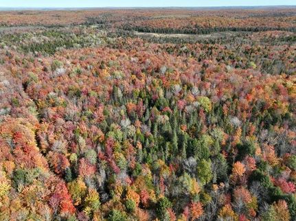 Recreational Property for sale in Ontonagon County, Michigan