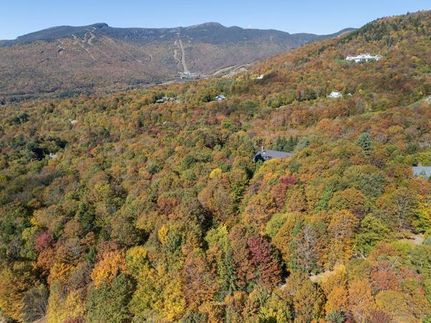 Timberland Property for sale in Lamoille County, Vermont