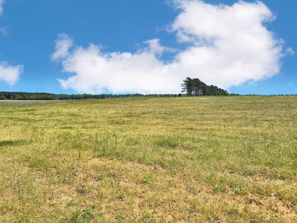 Riverfront Property for sale in Marlboro County, South Carolina