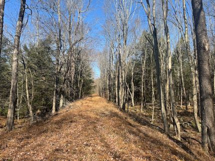 Land for sale in Sullivan County, Pennsylvania