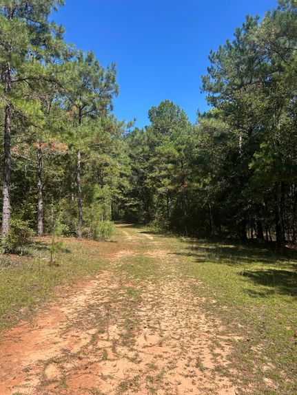 Recreational Property for sale in Pike County, Alabama