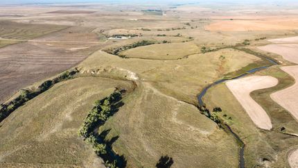 Land for sale in Ness County, Kansas