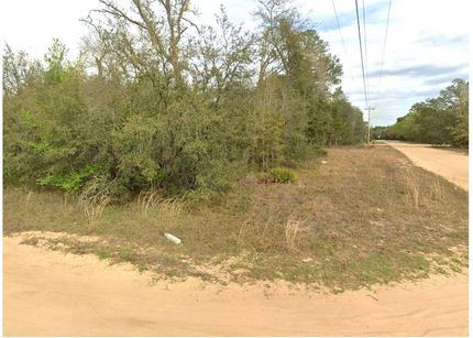 Homesite for sale in Putnam County, Florida