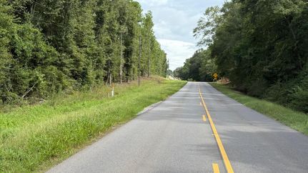 Undeveloped Land for sale in Geneva County, Alabama