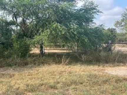 Land for sale in Bee County, Texas