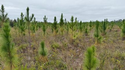 Land for sale in Bay County, Florida