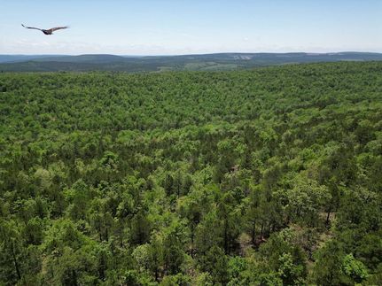 Recreational Property for sale in Pushmataha County, Oklahoma