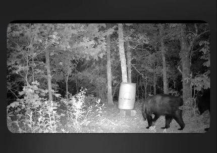 Recreational Property for sale in Pushmataha County, Oklahoma