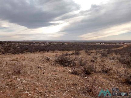 Land for sale in Eddy County, New Mexico