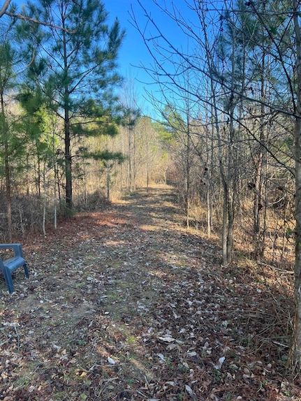 Recreational Property for sale in Hot Spring County, Arkansas