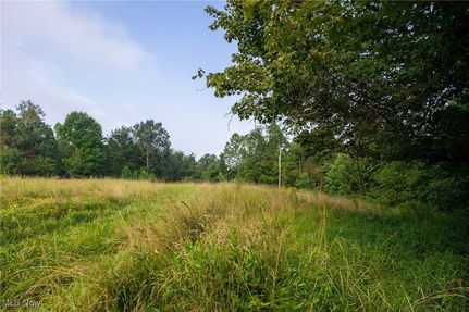 Undeveloped Land for sale in Guernsey County, Ohio
