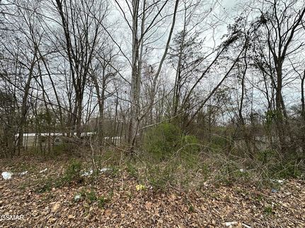 Timberland Property for sale in Cocke County, Tennessee