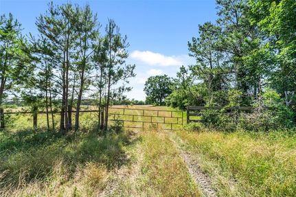 Undeveloped Land for sale in Walker County, Texas
