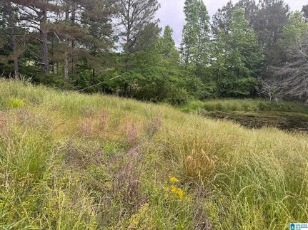 Undeveloped Land for sale in Walker County, Alabama