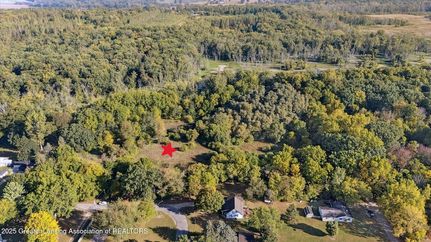 Recreational Property for sale in Clinton County, Michigan