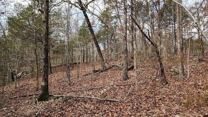 Land for sale in Marion County, Arkansas