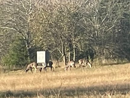 Farm and Ranch for sale in Delta County, Texas
