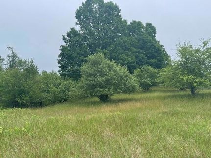 Land for sale in Forest County, Wisconsin