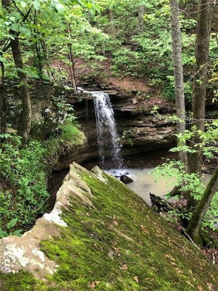 Land for sale in Madison County, Arkansas