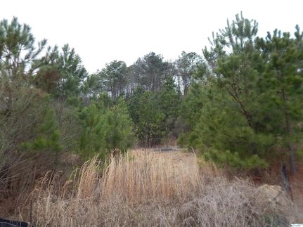 Undeveloped Land for sale in Jefferson County, Alabama